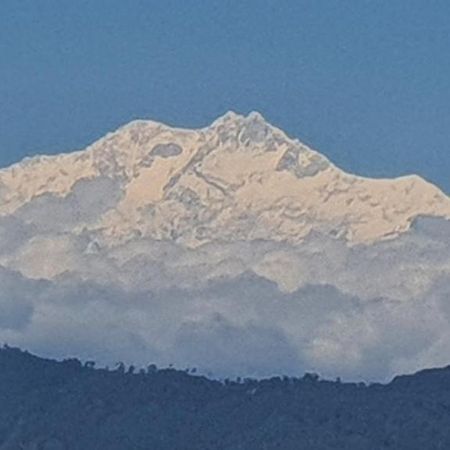 New Bloom Homestay Kurseong Εξωτερικό φωτογραφία