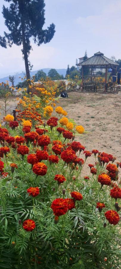 New Bloom Homestay Kurseong Εξωτερικό φωτογραφία