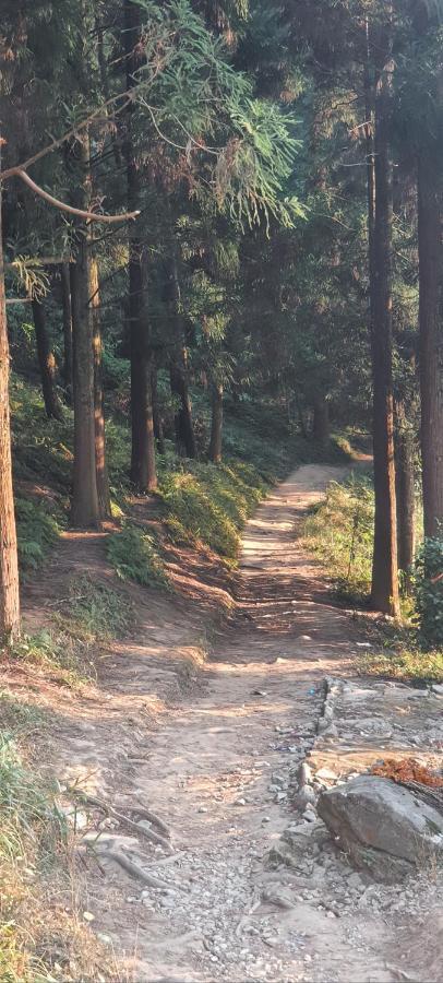 New Bloom Homestay Kurseong Εξωτερικό φωτογραφία